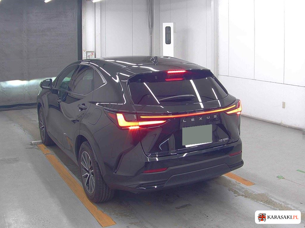 Lexus NX 2023 z aukcji japońskiej