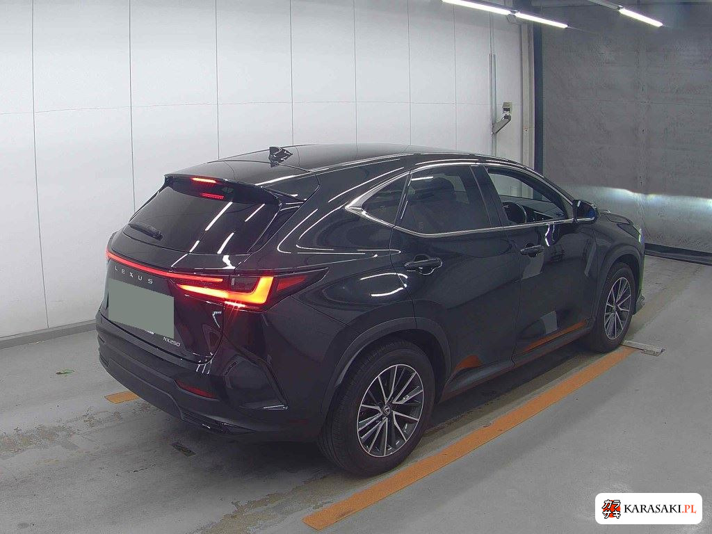 Lexus NX 2023 z aukcji japońskiej
