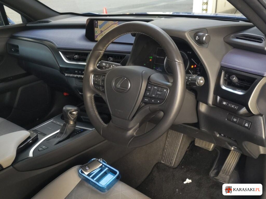 Lexus Ux 2019 z aukcji japońskiej