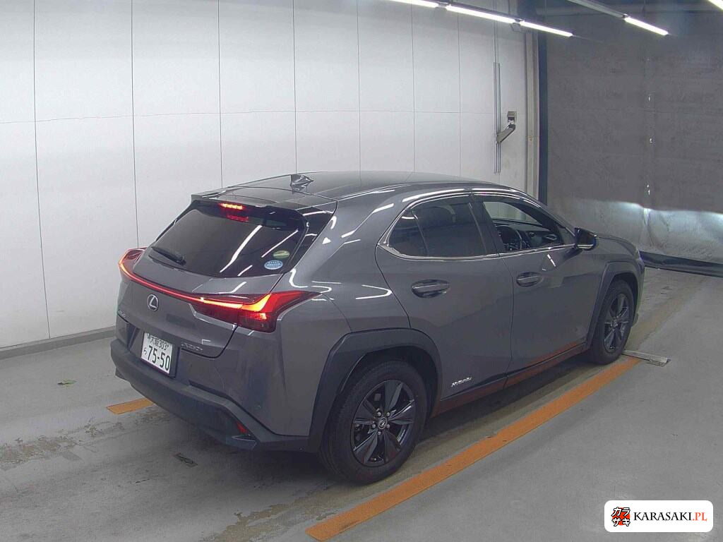 Lexus Ux 2020 z aukcji japońskiej