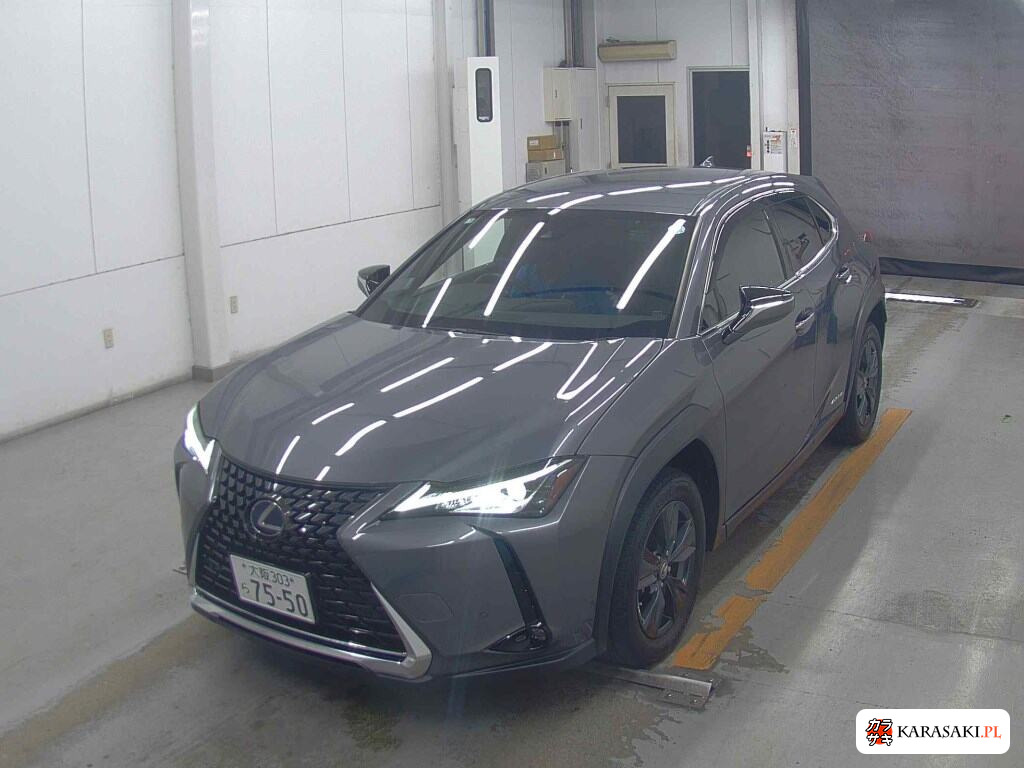 Lexus Ux 2020 z aukcji japońskiej