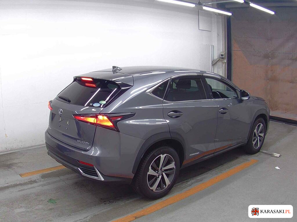 Lexus NX 2019 z aukcji japońskiej
