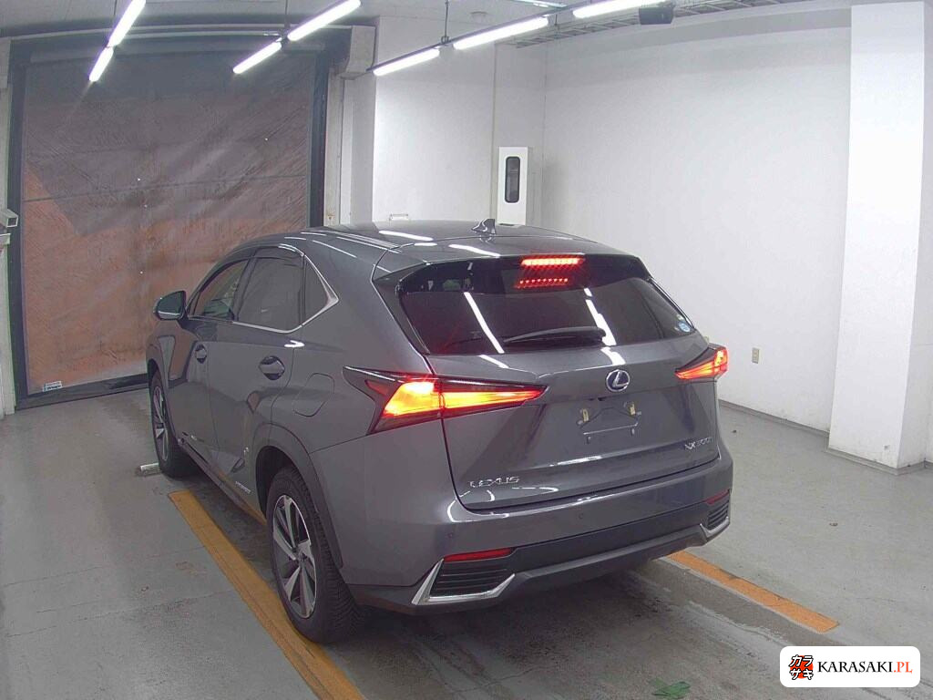 Lexus NX 2019 z aukcji japońskiej