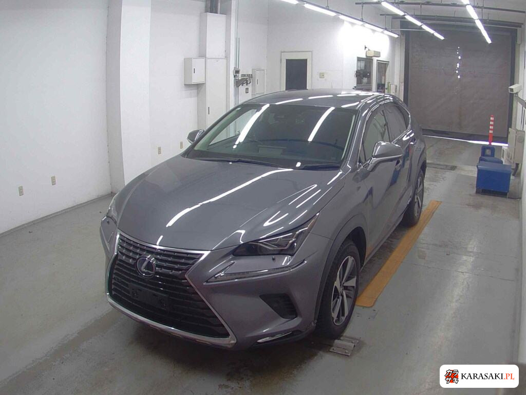 Lexus NX 2019 z aukcji japońskiej