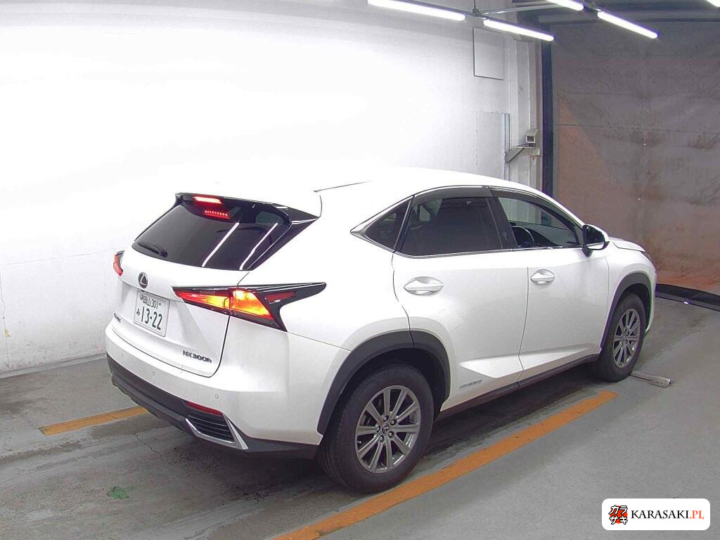 2018 Lexus NX NX300H 4