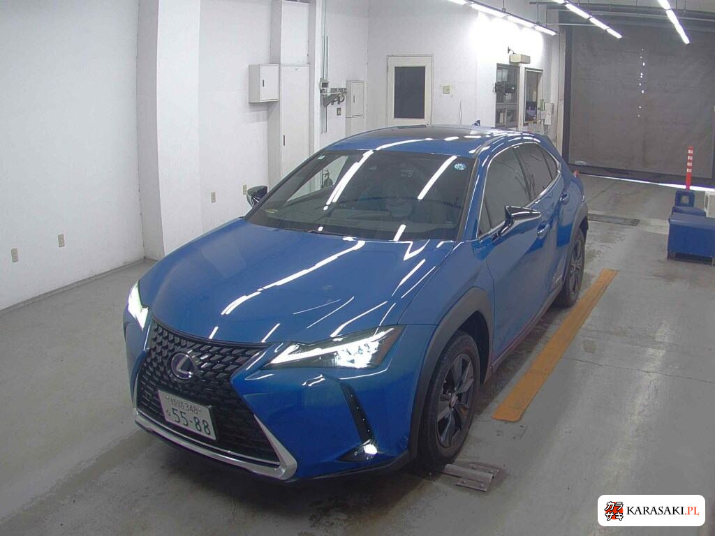 2022 Lexus Ux UX250H Version C 3