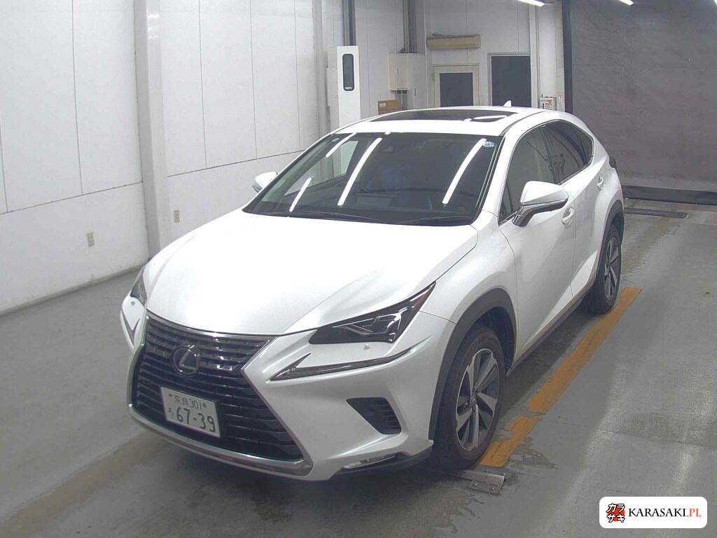 Lexus NX 2020 z aukcji japońskiej