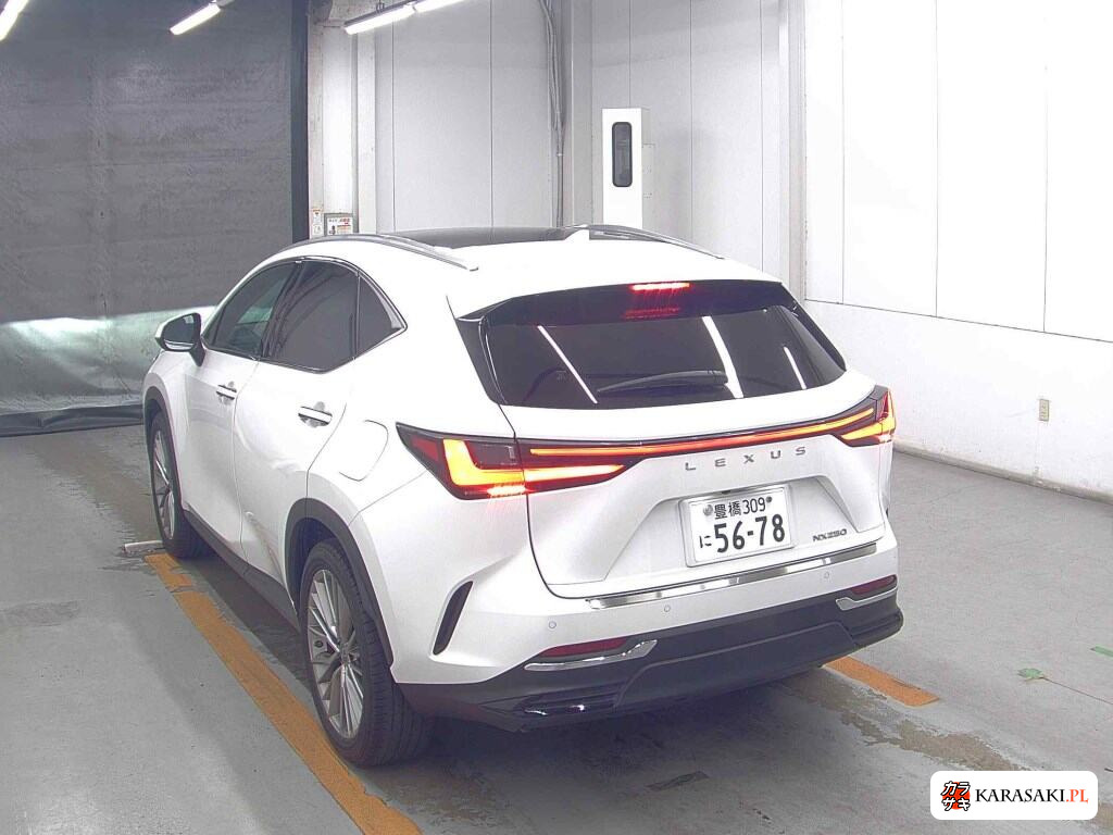 Lexus NX 2022 z aukcji japońskiej