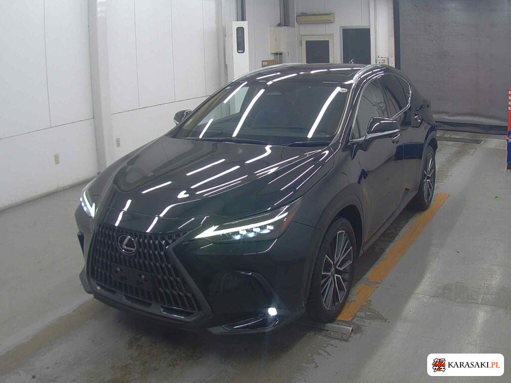 Lexus NX 2023 z aukcji japońskiej