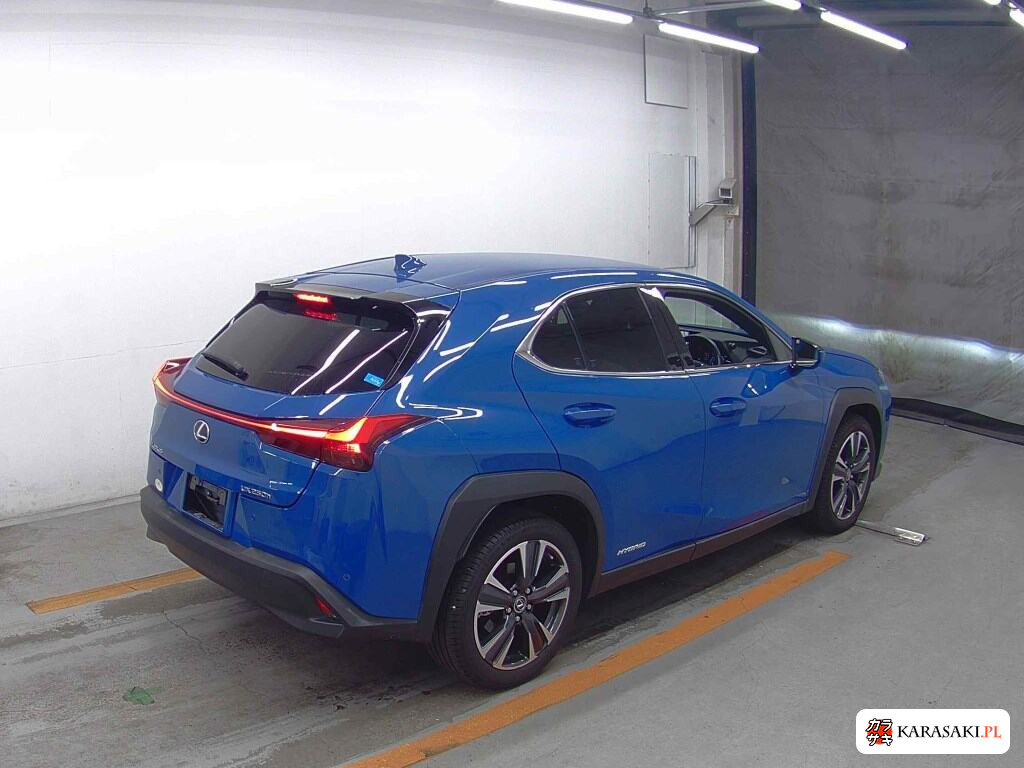 Lexus Ux 2021 z aukcji japońskiej