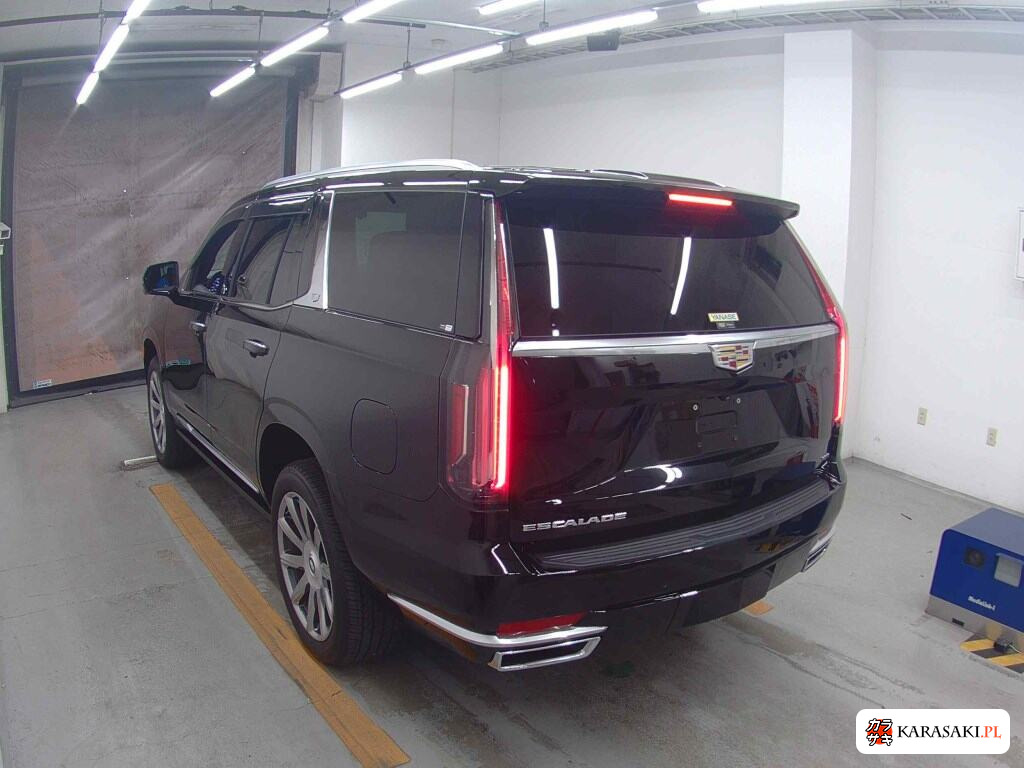 Cadillac Escalade 2021 z aukcji japońskiej