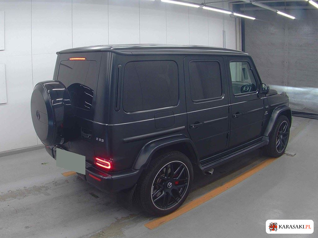 Mercedes-AMG G-Class 2019 from a Japanese auction