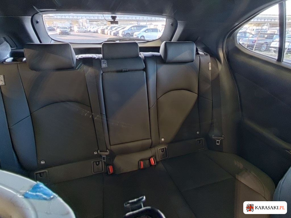 Lexus Ux 2023 z aukcji japońskiej
