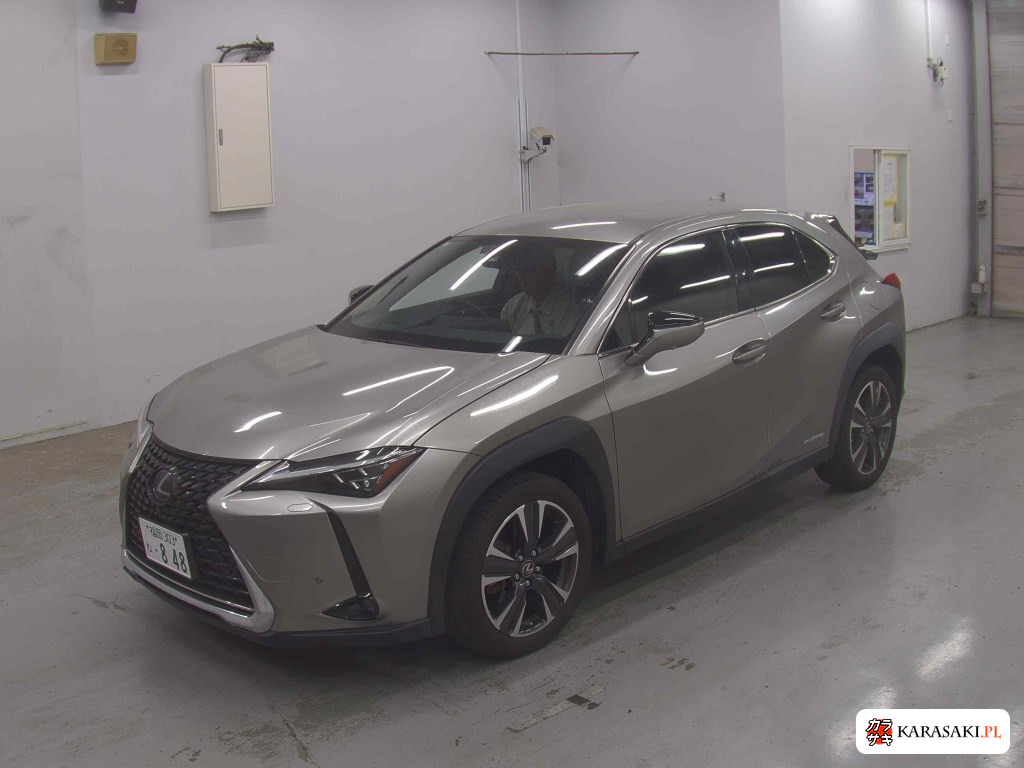 2019 Lexus Ux UX250H Version L 3