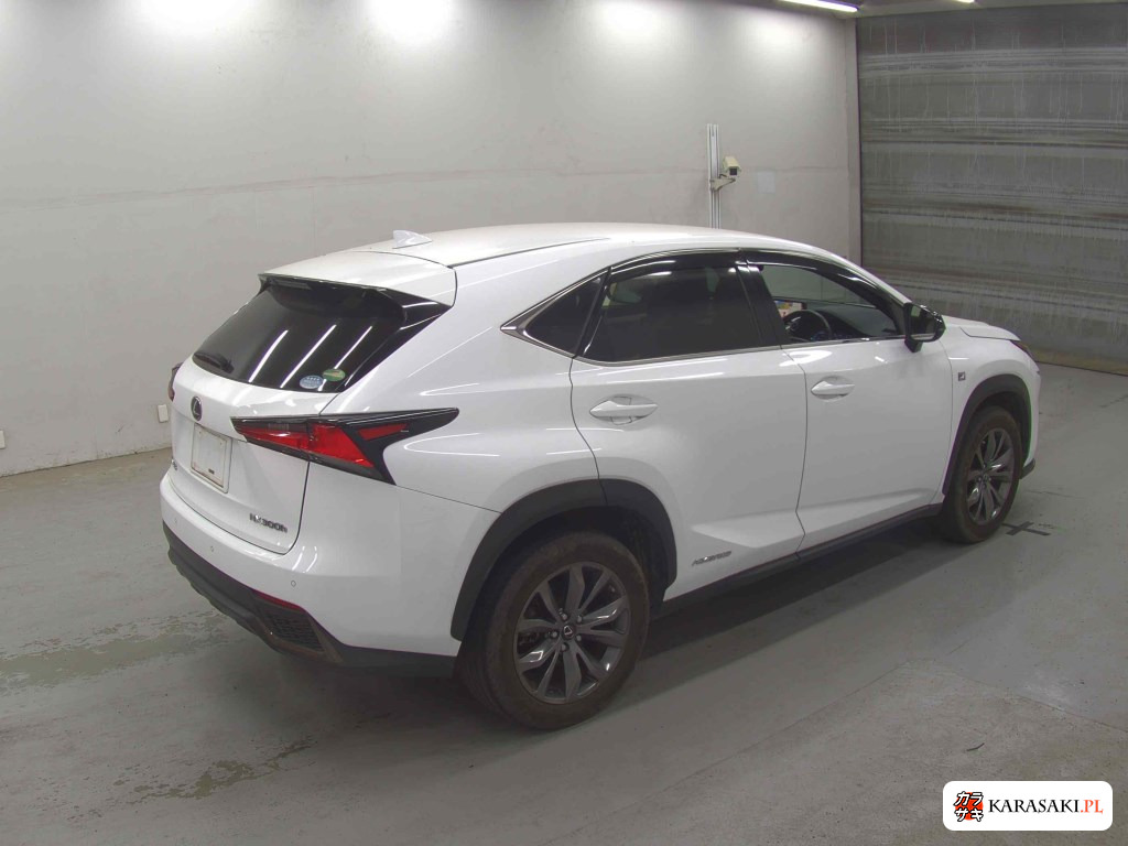 2019 Lexus NX NX300H F Sport 4