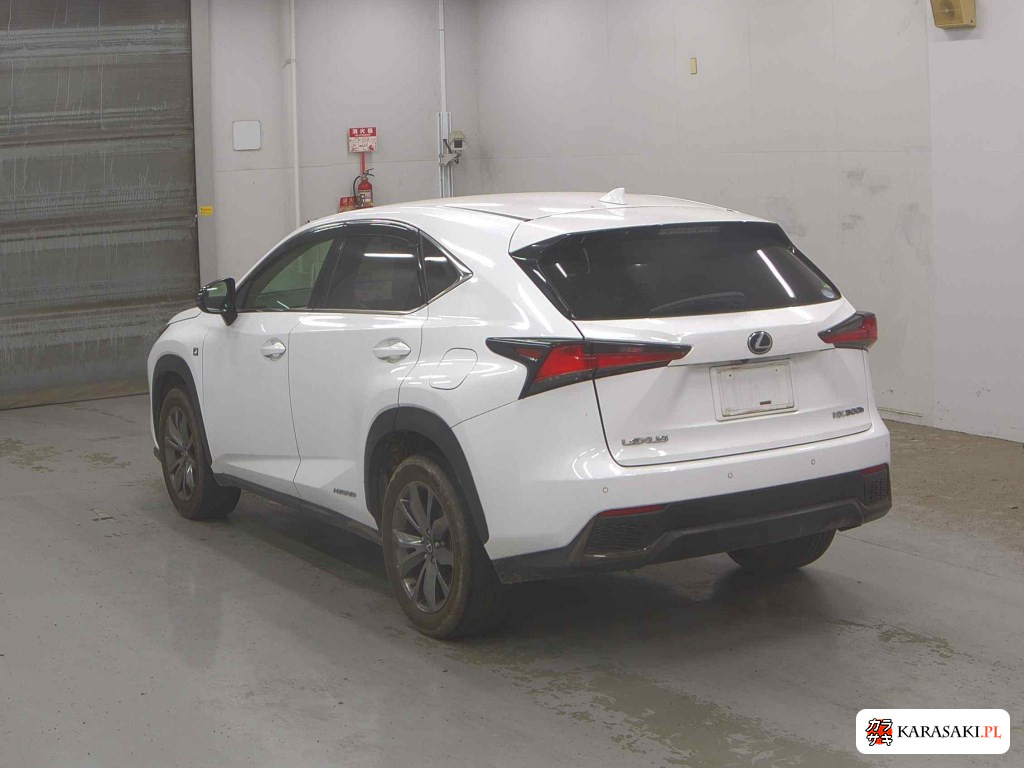 2019 Lexus NX NX300H F Sport 2