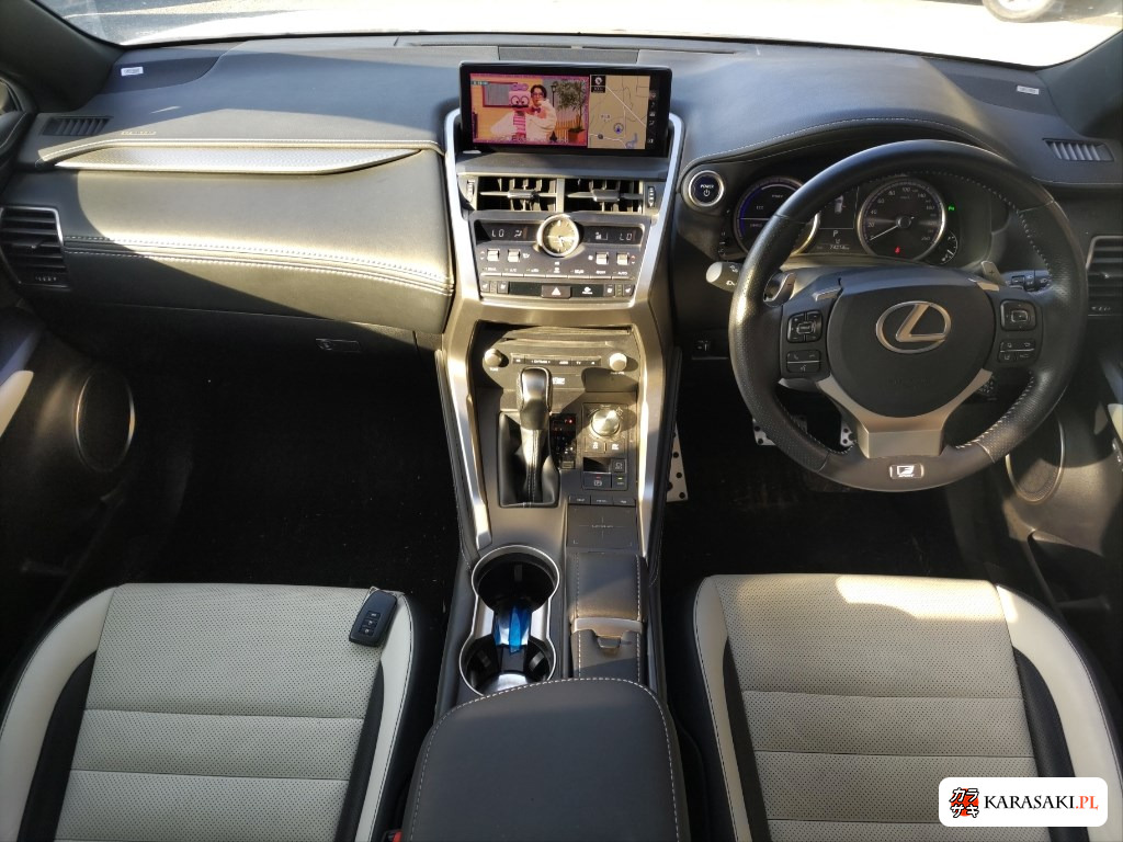 2019 Lexus NX NX300H F Sport 5