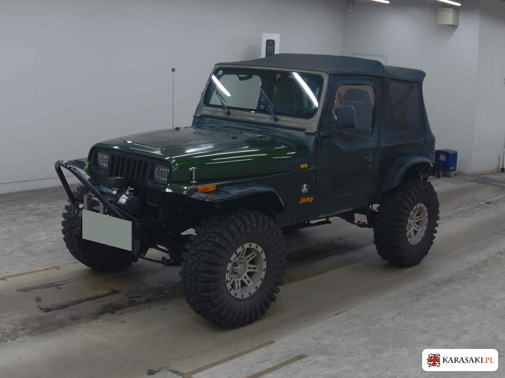 1995 Chrysler Jeep Jeep Wrangler 4WD 3
