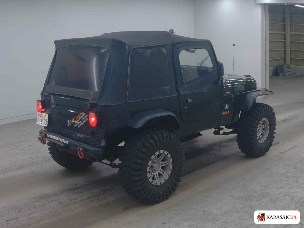 1995 Chrysler Jeep Jeep Wrangler 4WD 4