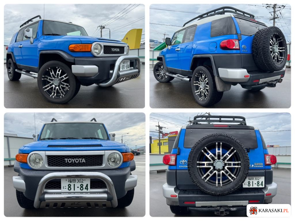2011 America Toyota FJ Cruiser 4WD 9