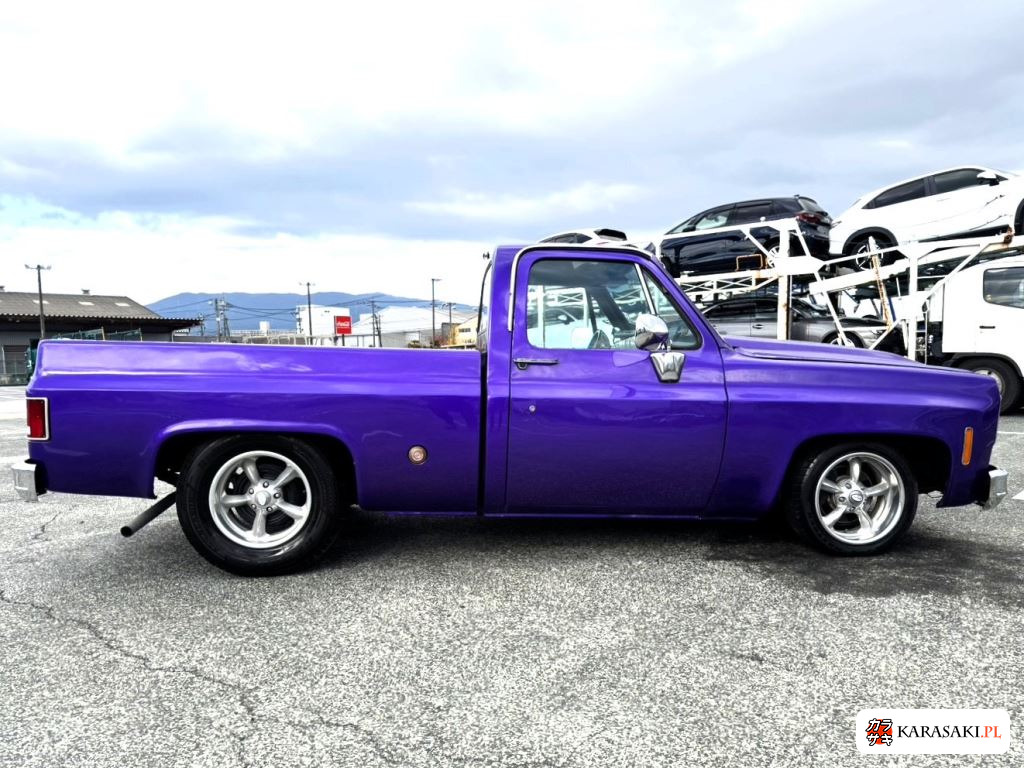1989 Chevrolet C-10 14