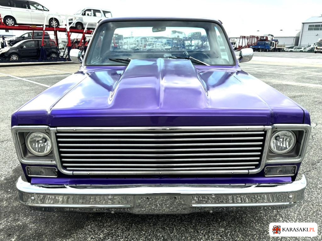 1989 Chevrolet C-10 8