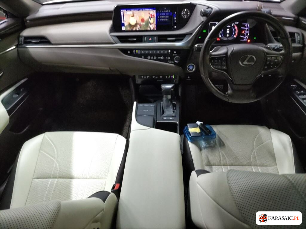 2019 Lexus Es ES300H Version L 5