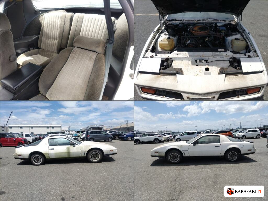 1984 Pontiac Firebird CP 6