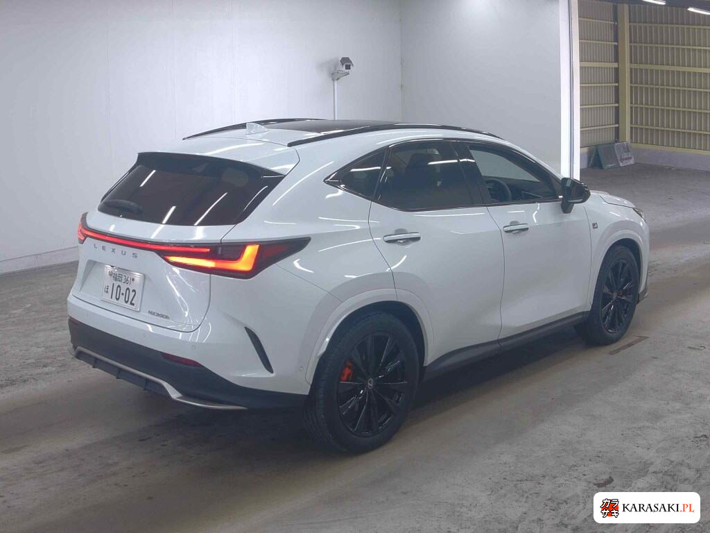 Lexus NX 2025 z aukcji japońskiej