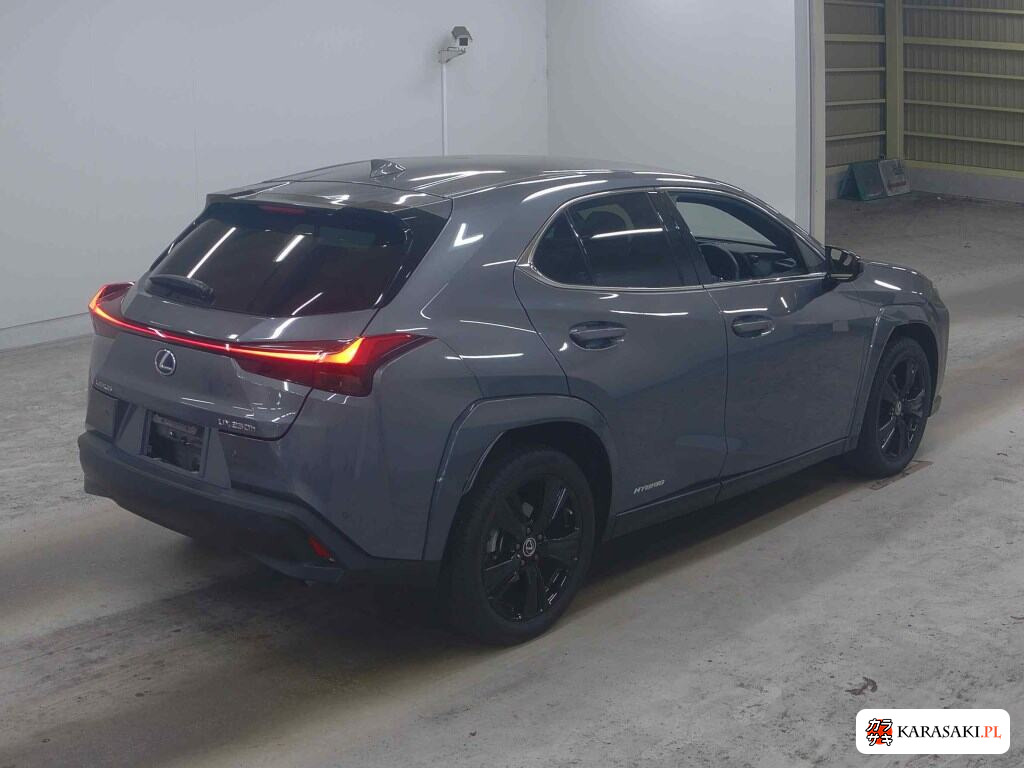 Lexus Ux 2021 z aukcji japońskiej