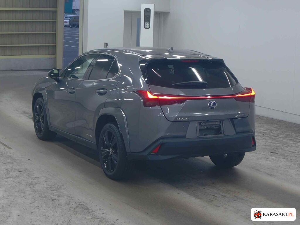 Lexus Ux 2021 z aukcji japońskiej