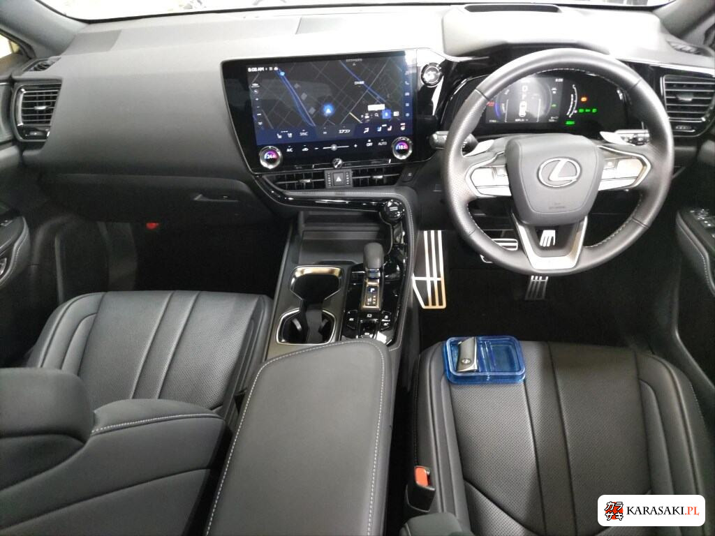 Lexus NX 2023 z aukcji japońskiej