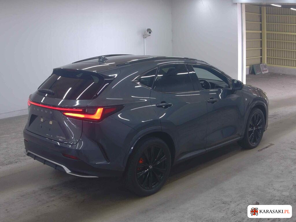 Lexus NX 2023 z aukcji japońskiej