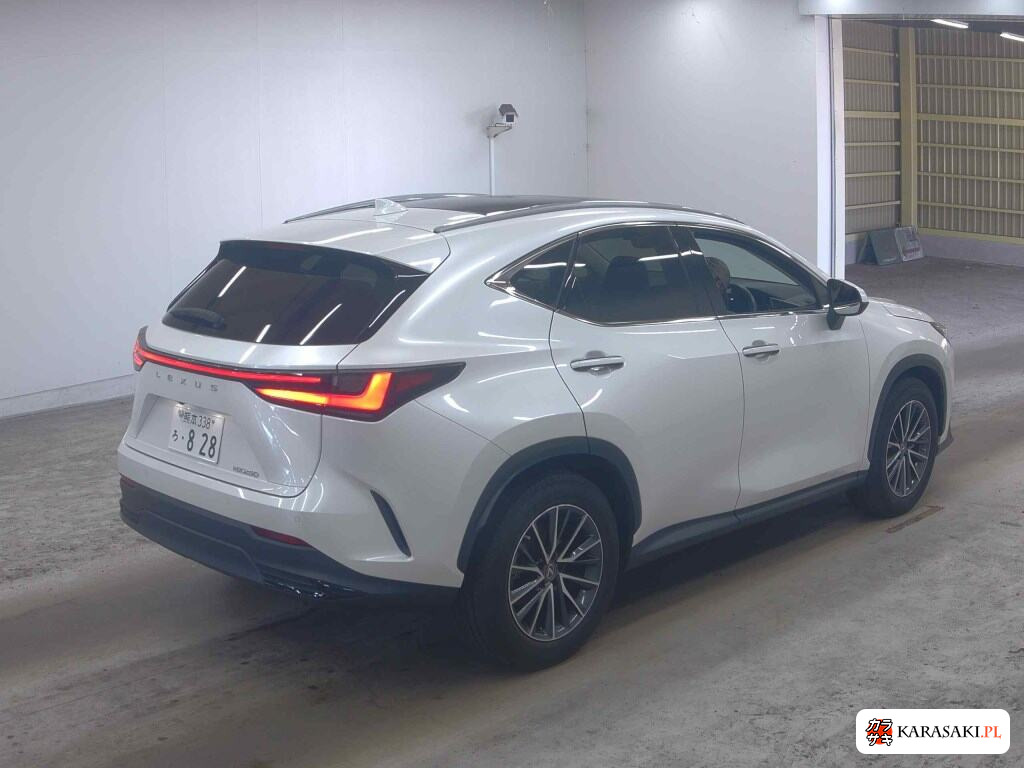 Lexus NX 2022 z aukcji japońskiej