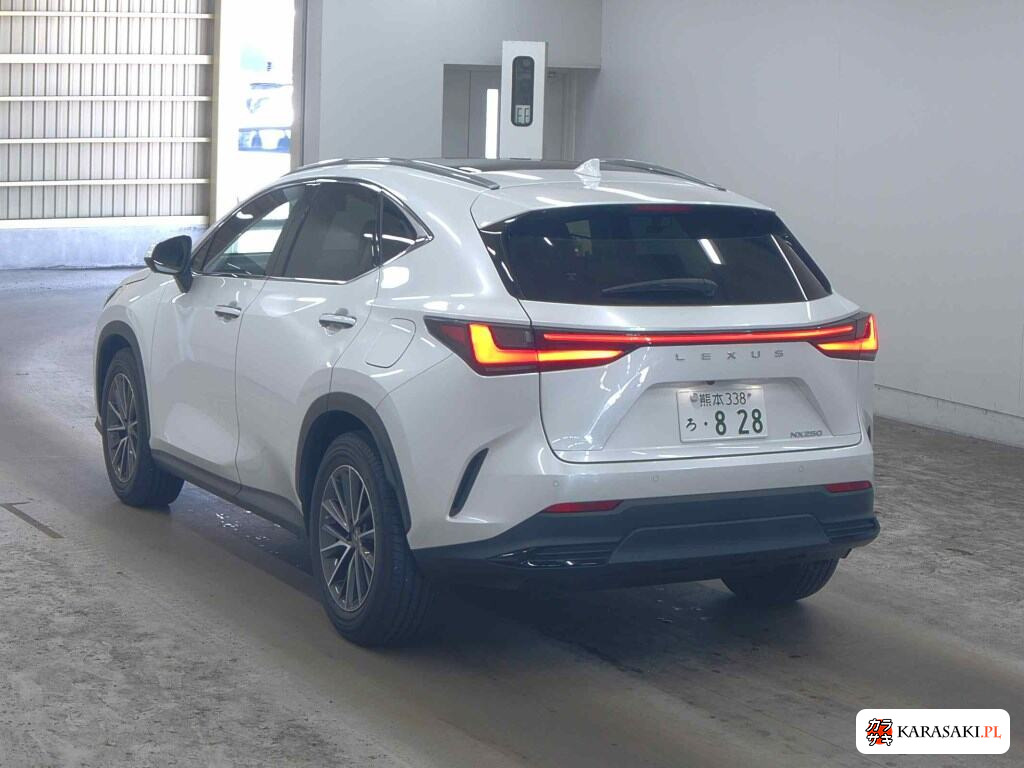 Lexus NX 2022 z aukcji japońskiej