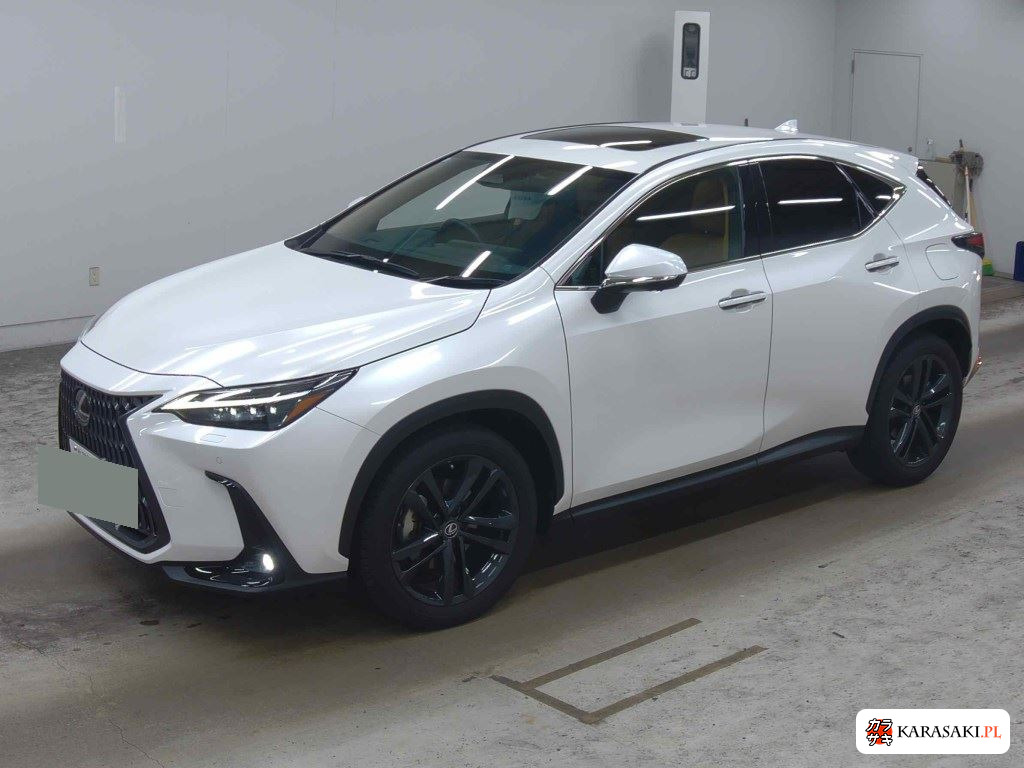 Lexus NX 2023 z aukcji japońskiej
