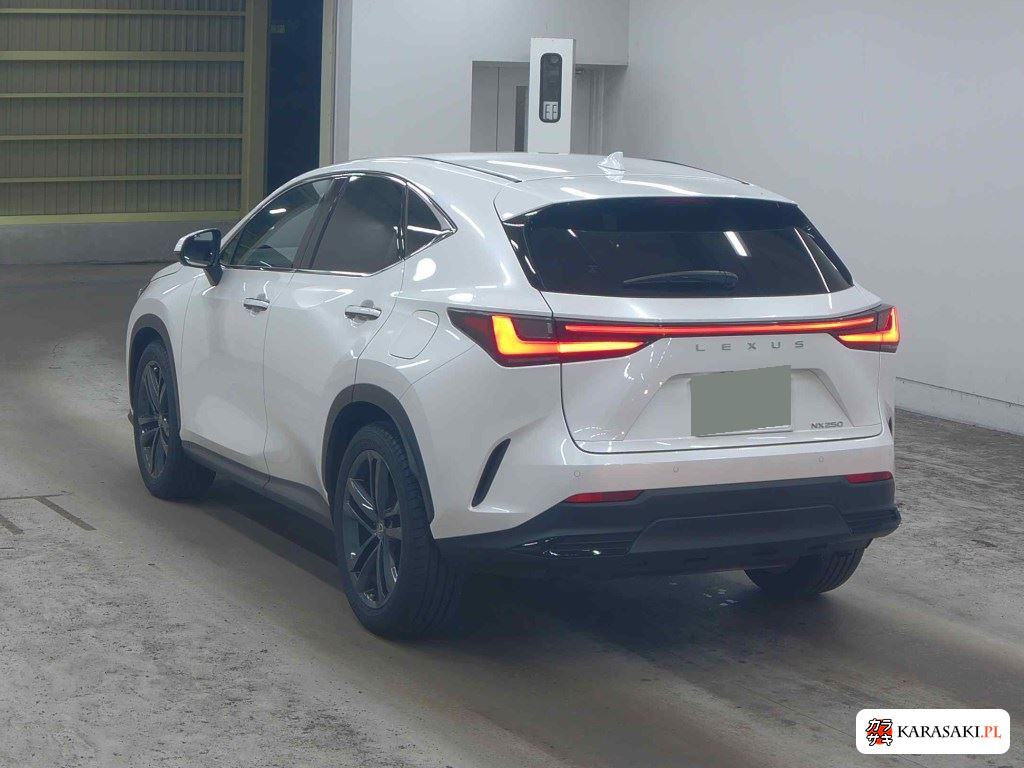 Lexus NX 2023 z aukcji japońskiej