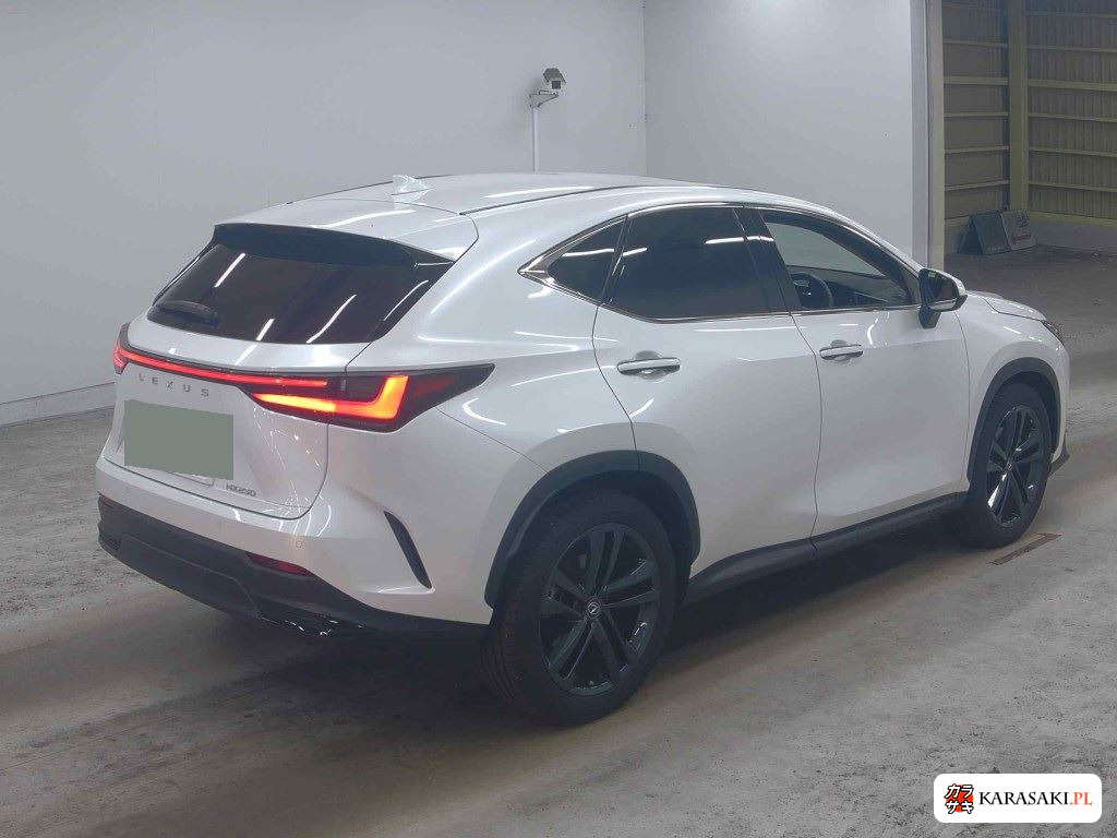 Lexus NX 2023 z aukcji japońskiej