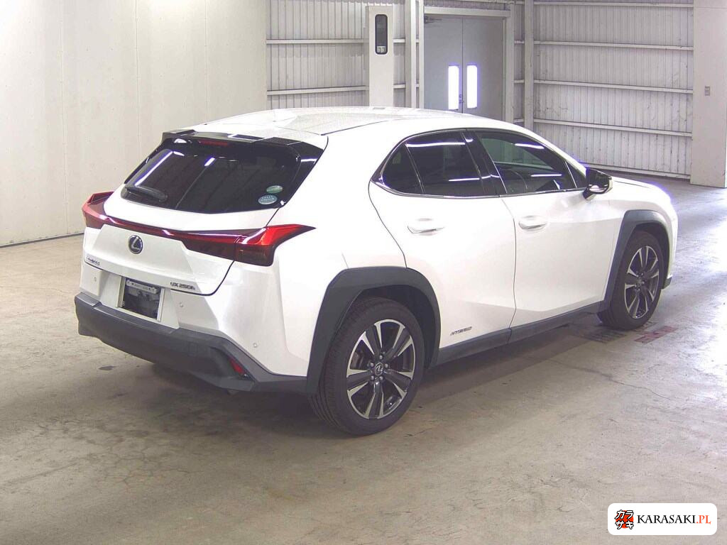 Lexus Ux 2019 z aukcji japońskiej