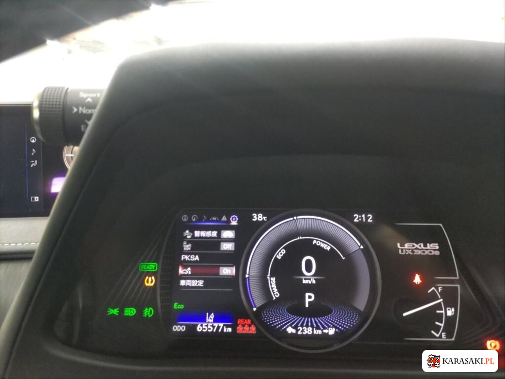 2021 Lexus UX300E Version L 6