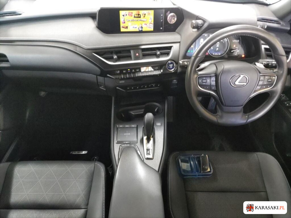 2021 Lexus UX300E Version L 5