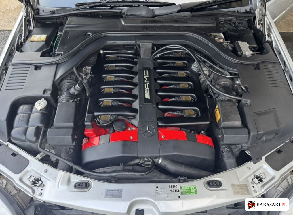 1996 AMG S-Class CP S600C 6.0 10