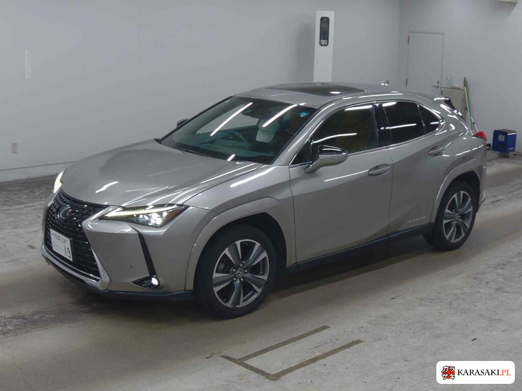 2021 Lexus UX300E Version L 3