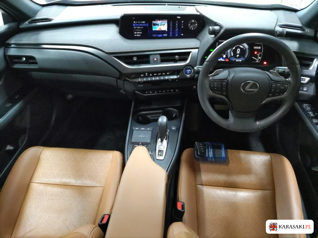 2021 Lexus UX300E Version L 5