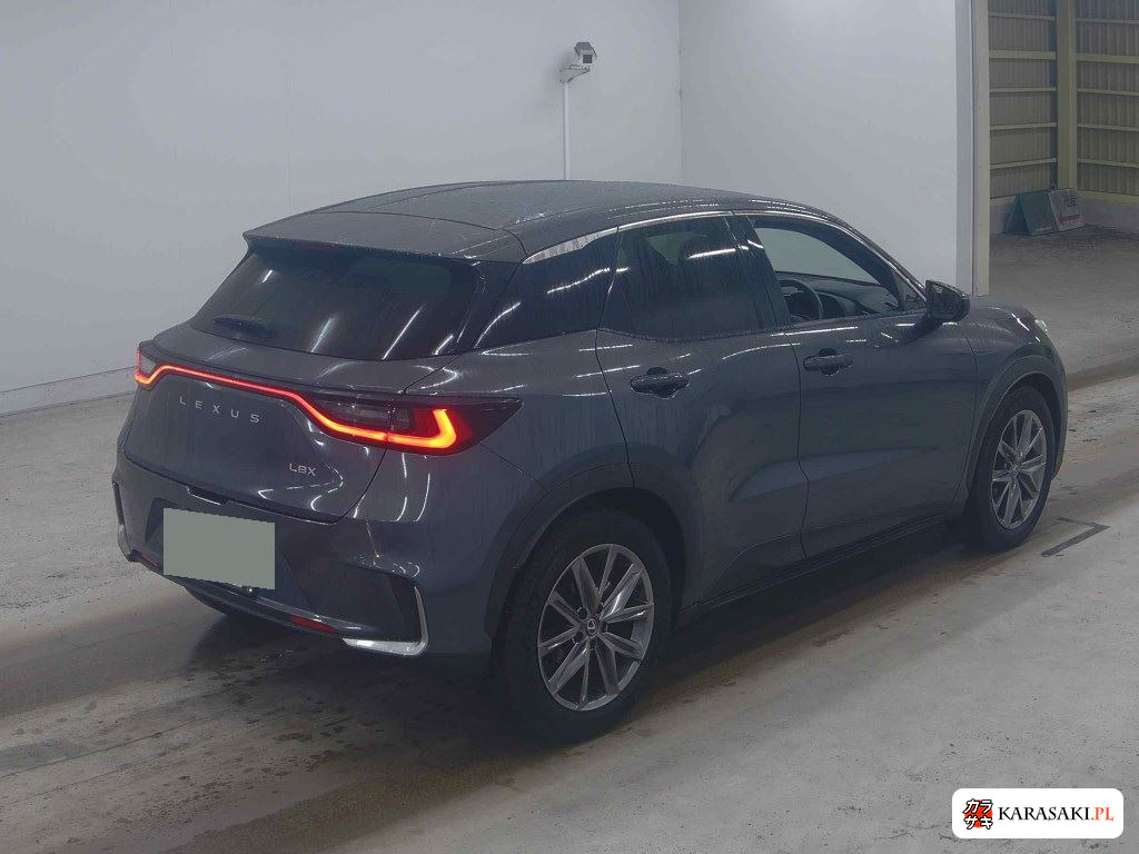 2024 Lexus LBX Relax 4