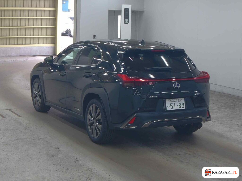 2019 Lexus Ux UX250H F Sport 2