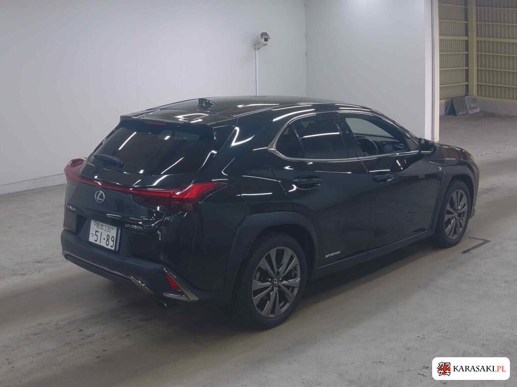 2019 Lexus Ux UX250H F Sport 4