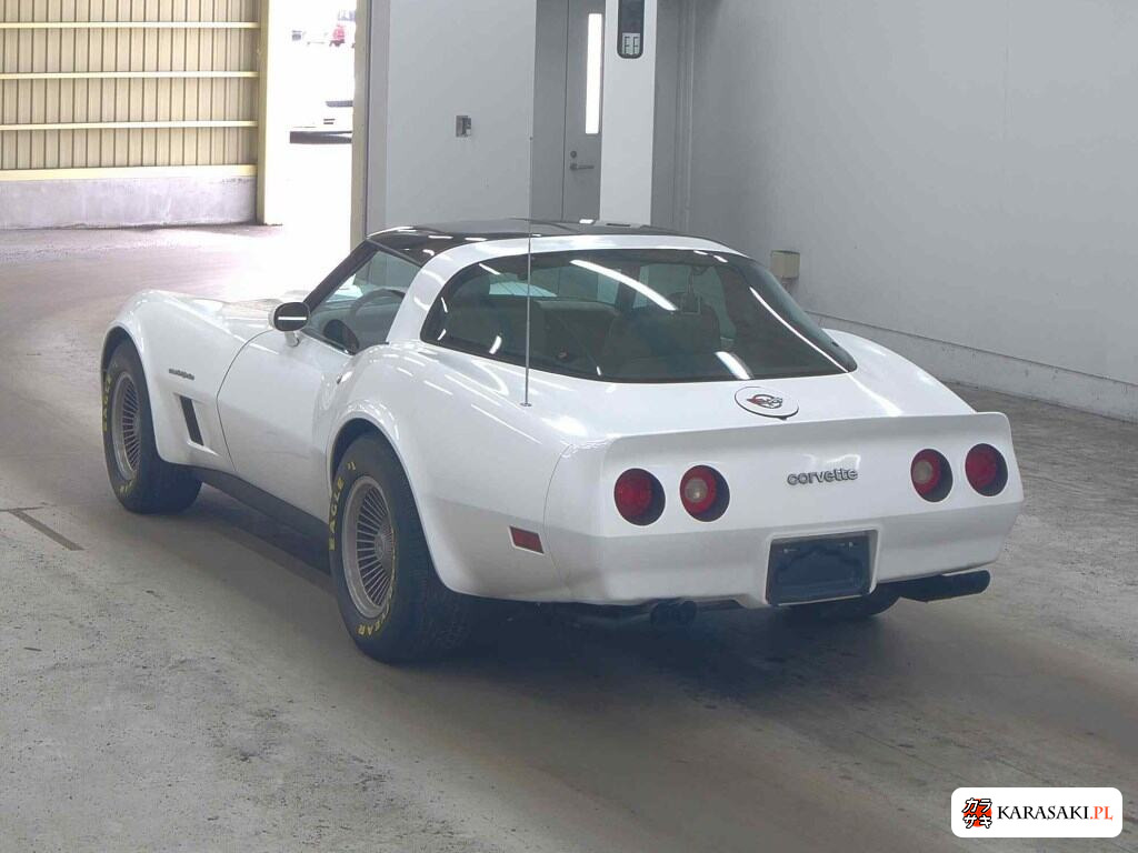 1991 Chevrolet Corvette CP Stingray 2