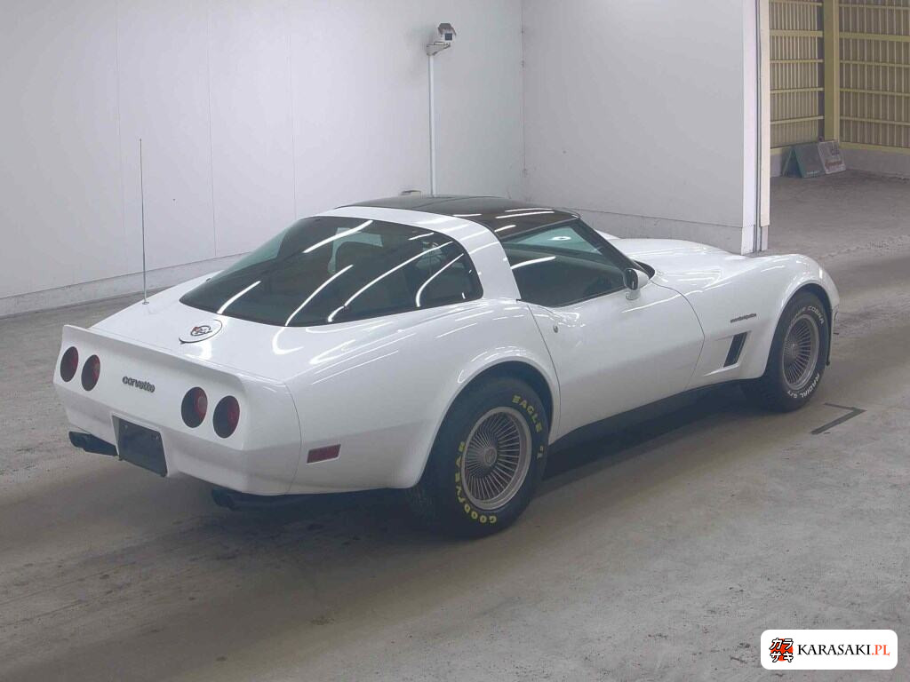 1991 Chevrolet Corvette CP Stingray 4