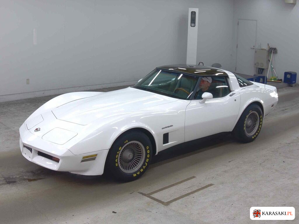 1991 Chevrolet Corvette CP Stingray 3